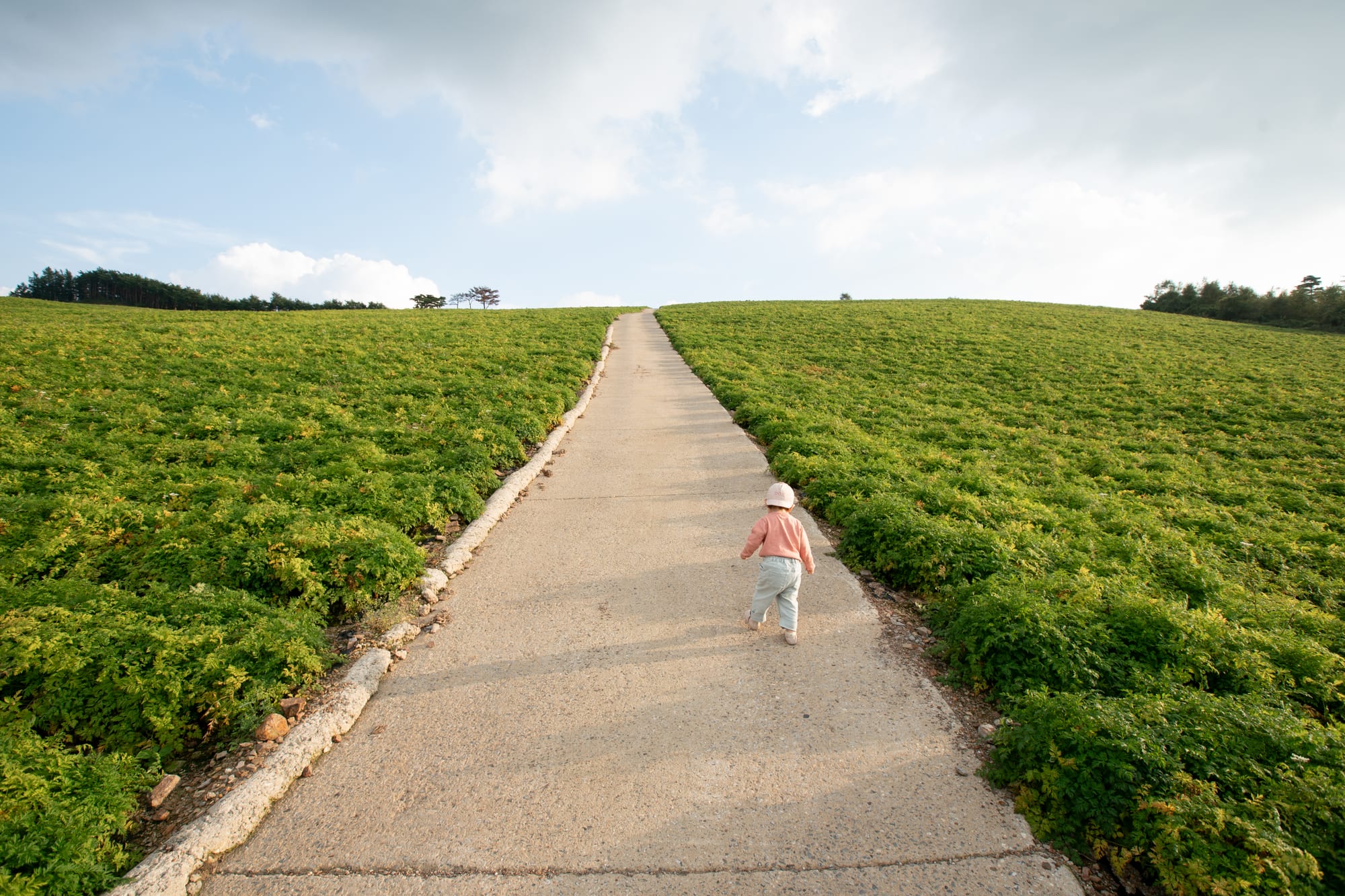 A small child walks along a path through low green fields.