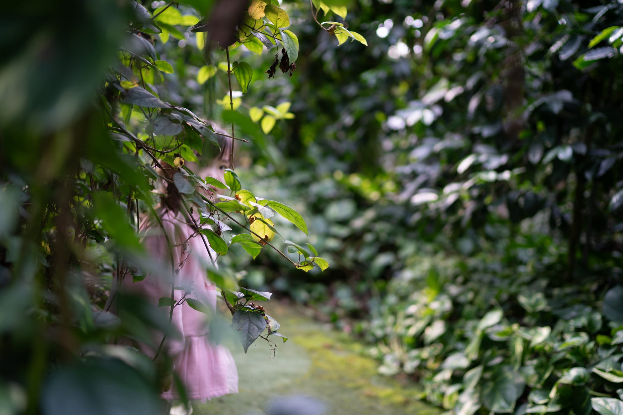 A child is partly obscured by leaves and branches.