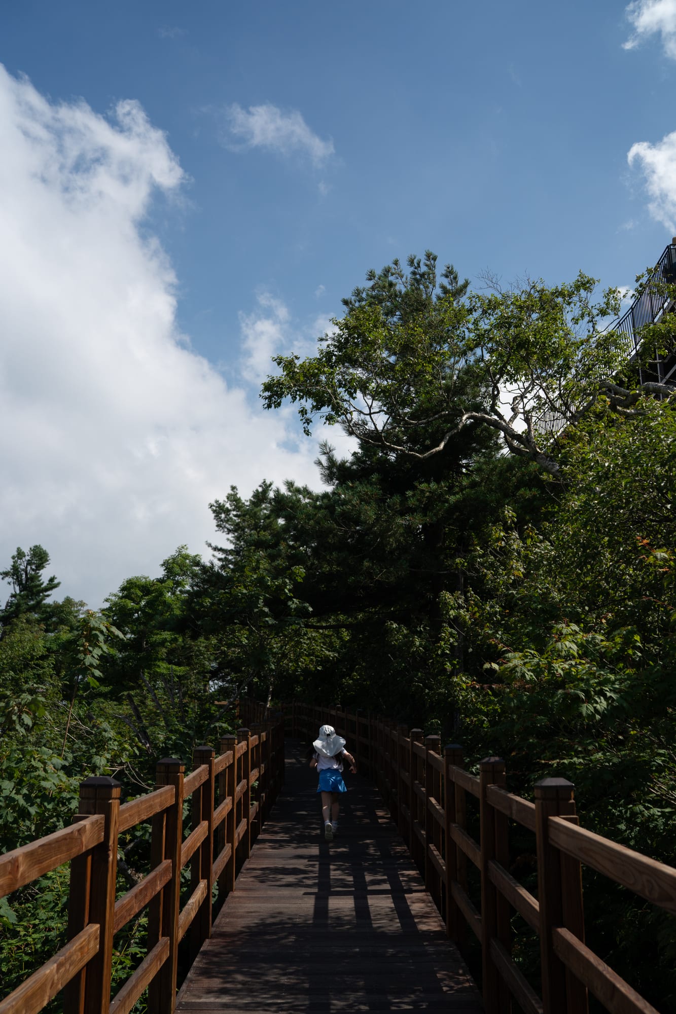A small child walks away along a shaded wooden footbridge beneath tall trees.