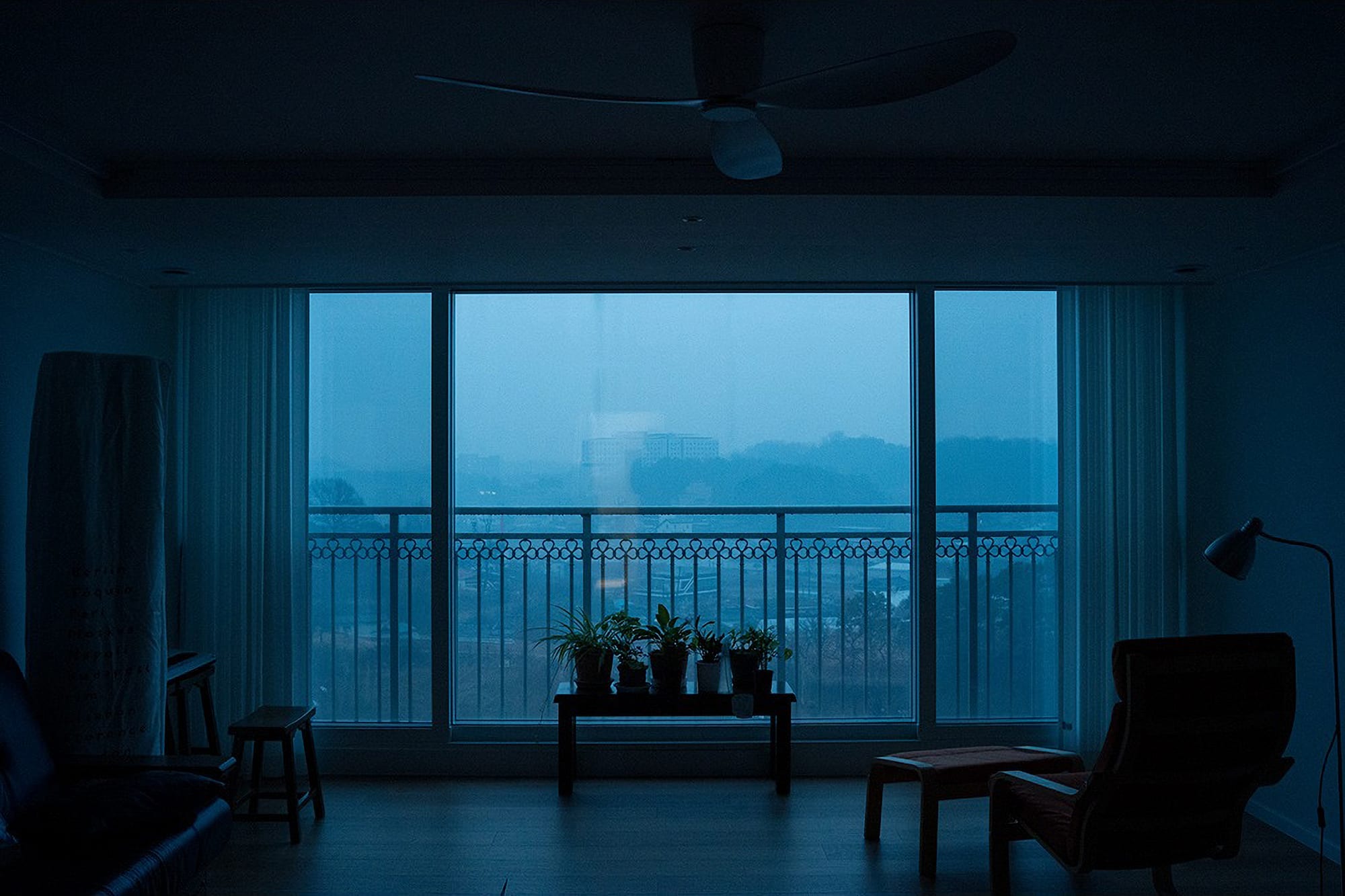 An empty blue-lit room with a wide window and potted plants.