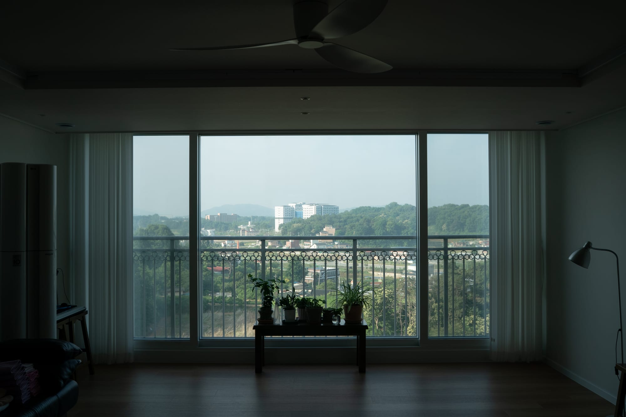 Potted plants stand by the window in an empty room.